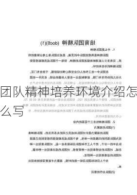 团队精神培养环境介绍怎么写