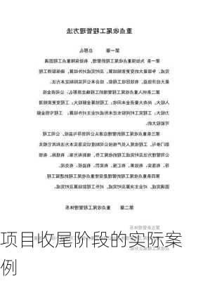 项目收尾阶段的实际案例