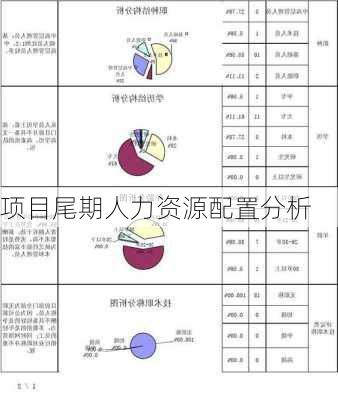 项目尾期人力资源配置分析