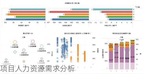 项目人力资源需求分析