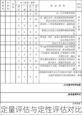 定量评估与定性评估对比