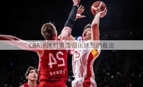CBA球迷对男篮归化球员的看法