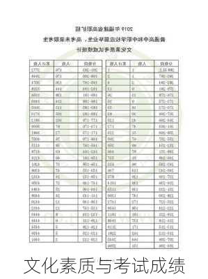 文化素质与考试成绩