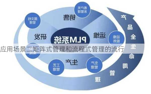 应用场景二矩阵式管理和流程式管理的流行