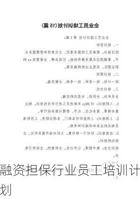融资担保行业员工培训计划