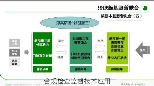 合规检查监督技术应用