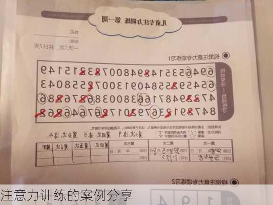 注意力训练的案例分享