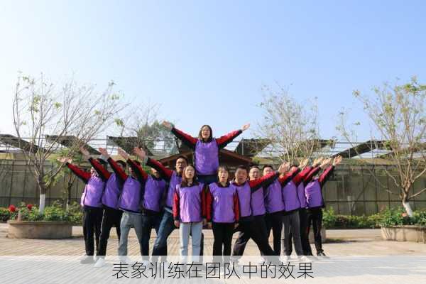 表象训练在团队中的效果
