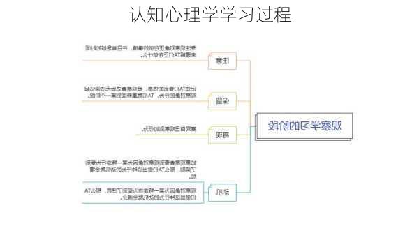 认知心理学学习过程