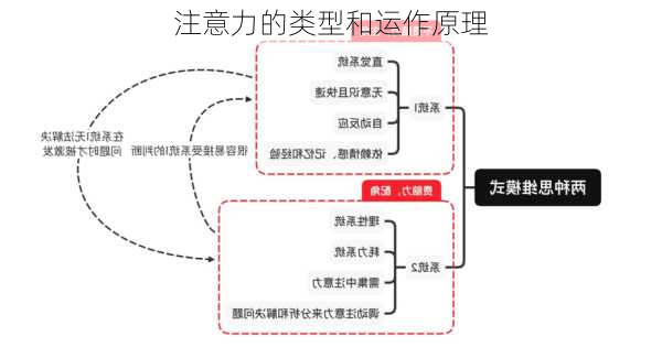 注意力的类型和运作原理