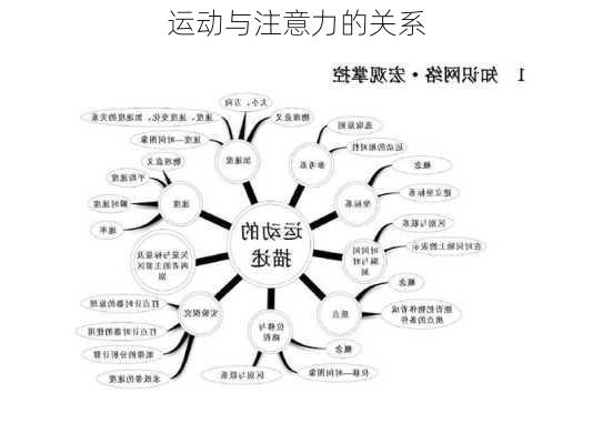 运动与注意力的关系