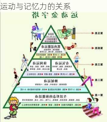 运动与记忆力的关系