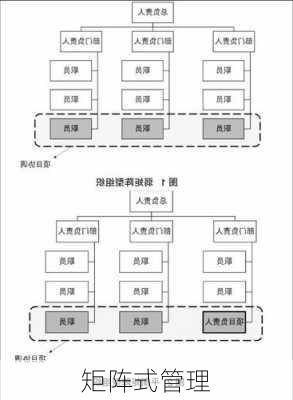 矩阵式管理