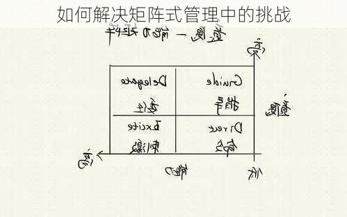 如何解决矩阵式管理中的挑战