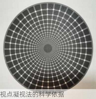 视点凝视法的科学依据
