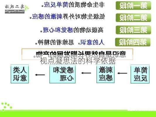 视点凝思法的科学依据