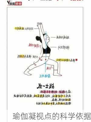 瑜伽凝视点的科学依据