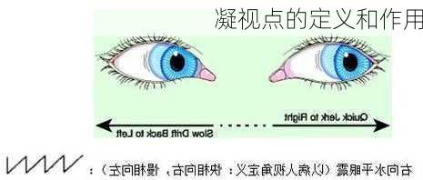 凝视点的定义和作用