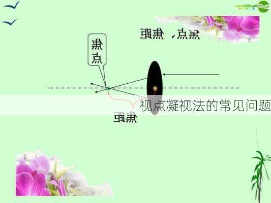 视点凝视法的常见问题