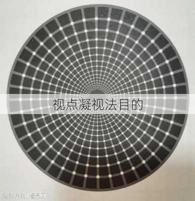 视点凝视法目的