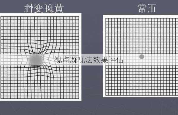 视点凝视法效果评估