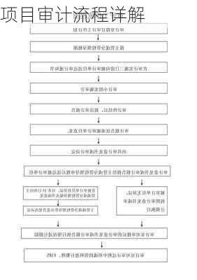 项目审计流程详解