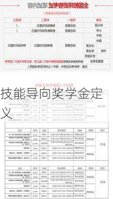 技能导向奖学金定义