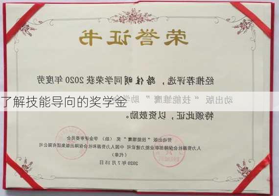 了解技能导向的奖学金