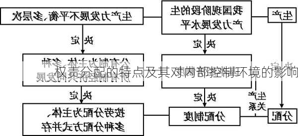 权责分配的特点及其对内部控制环境的影响
