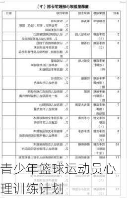 青少年篮球运动员心理训练计划