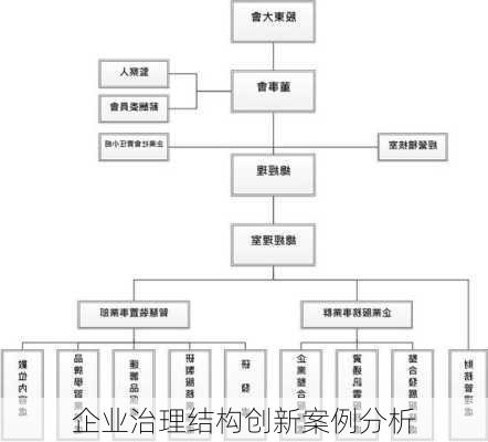 企业治理结构创新案例分析