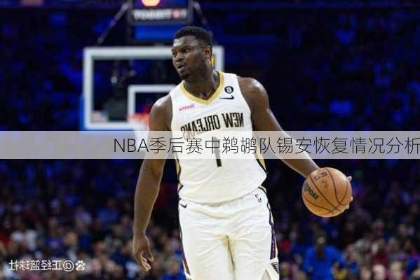 NBA季后赛中鹈鹕队锡安恢复情况分析