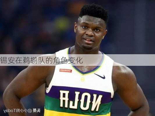 锡安在鹈鹕队的角色变化