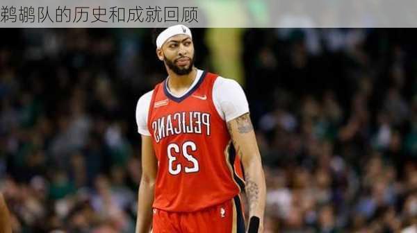 鹈鹕队的历史和成就回顾