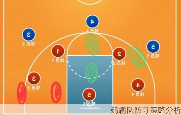 鹈鹕队防守策略分析