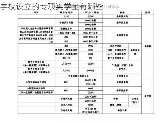 学校设立的专项奖学金有哪些