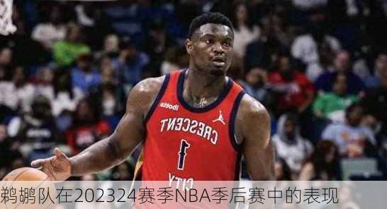 鹈鹕队在202324赛季NBA季后赛中的表现