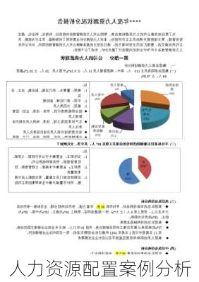 人力资源配置案例分析