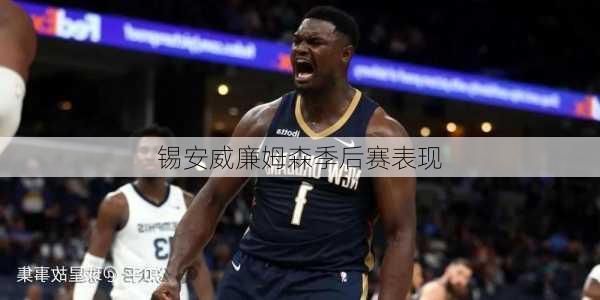锡安威廉姆森季后赛表现