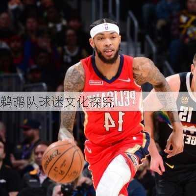 鹈鹕队球迷文化探究
