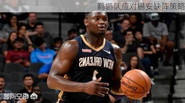 鹈鹕队应对锡安缺阵策略