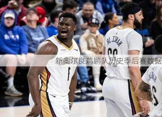 新奥尔良鹈鹕队历史季后赛数据