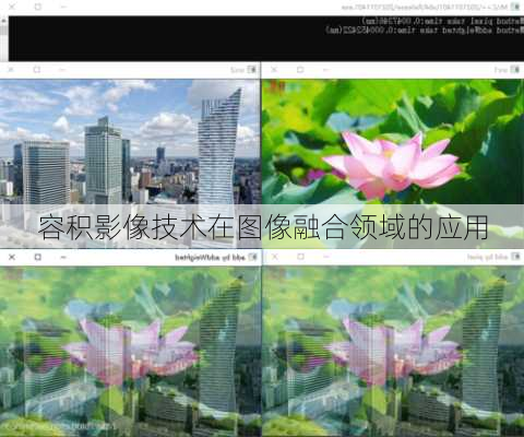 容积影像技术在图像融合领域的应用