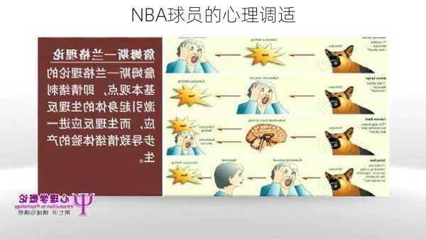 NBA球员的心理调适