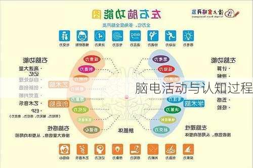 脑电活动与认知过程
