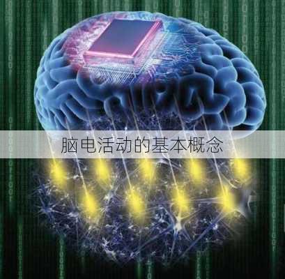 脑电活动的基本概念