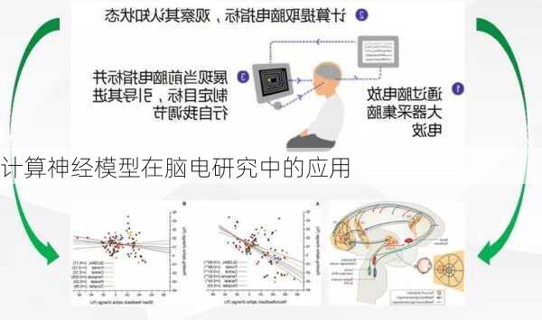计算神经模型在脑电研究中的应用