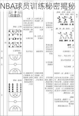 NBA球员训练秘密揭秘