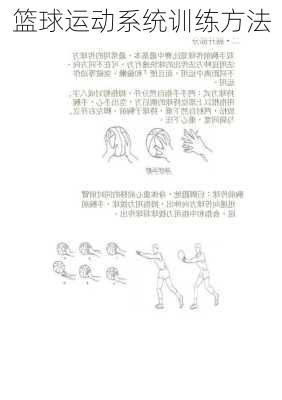 篮球运动系统训练方法
