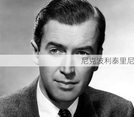 尼克波利泰里尼